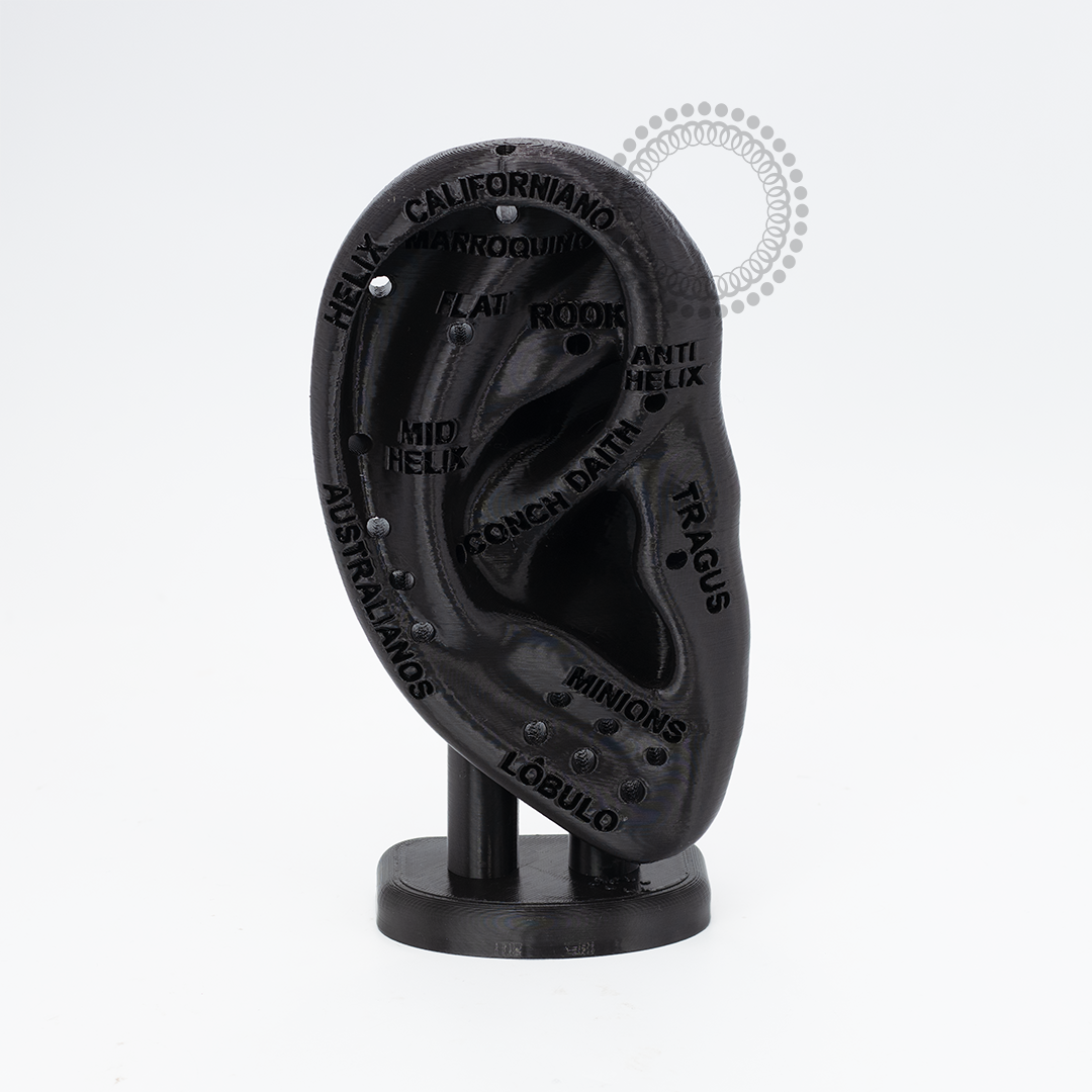 EP38 Orelha Didática 3D Em Resina