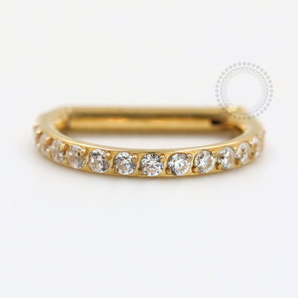 TN74 Segmento D-Ring Cravejado CZ Haste Reta Titânio PVD Gold