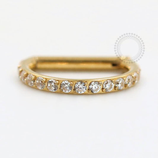 TN74 Segmento D-Ring Cravejado CZ Haste Reta Titânio PVD Gold