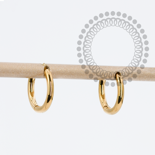 TN1754 Titanium PVD Gold Plain Hoop Earrings 