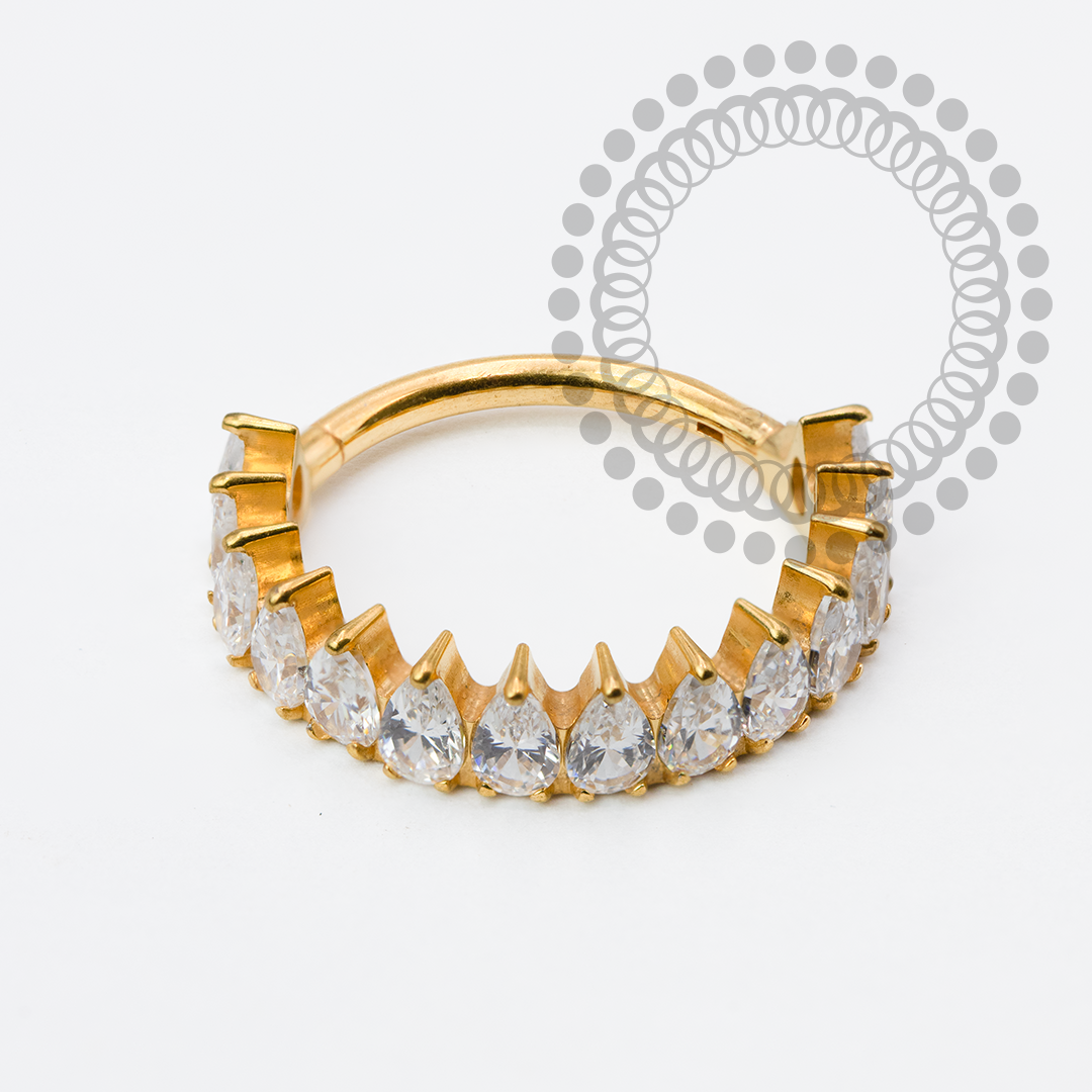 TN1964 Segmento Coroa 10 CZ Titânio PVD Gold