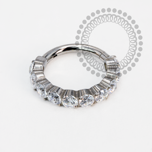 TN1986 Segmento  Zircônia Titânio ASTM F-13