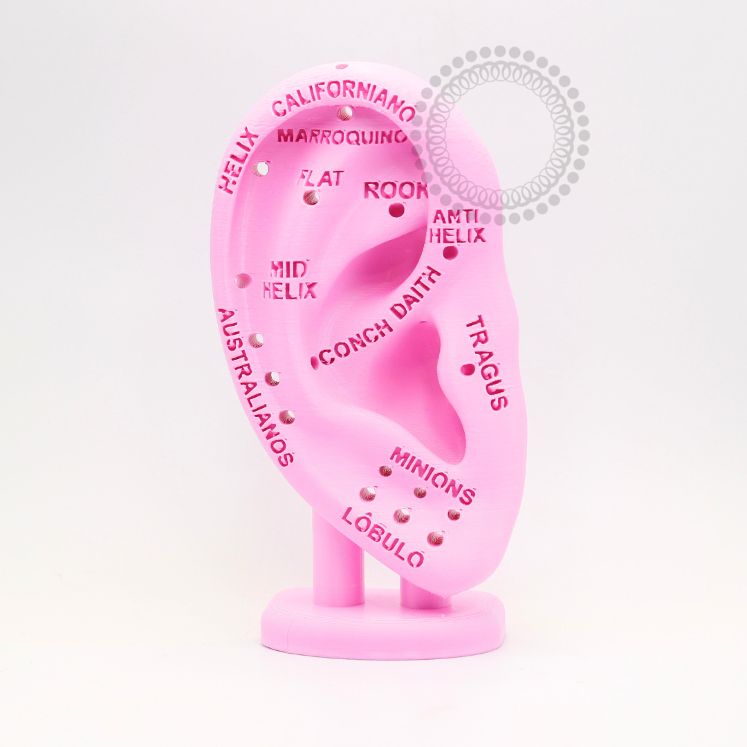 EP38 Orelha Didática 3D Em Resina