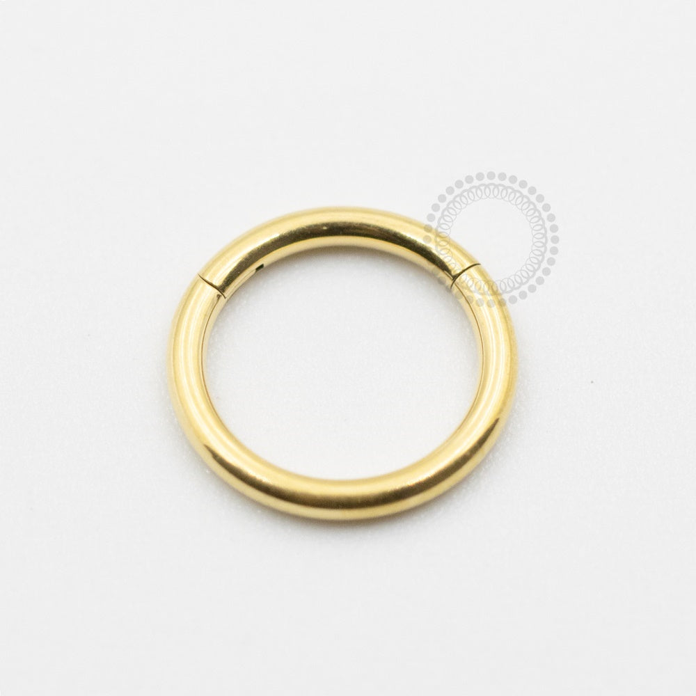 TN623 Segmento Titânio PVD Gold