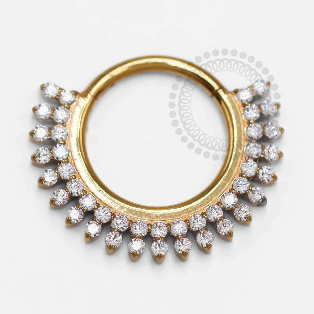 TN1389 Segmento Frontal CZ Brilhantes Titânio PVD Gold