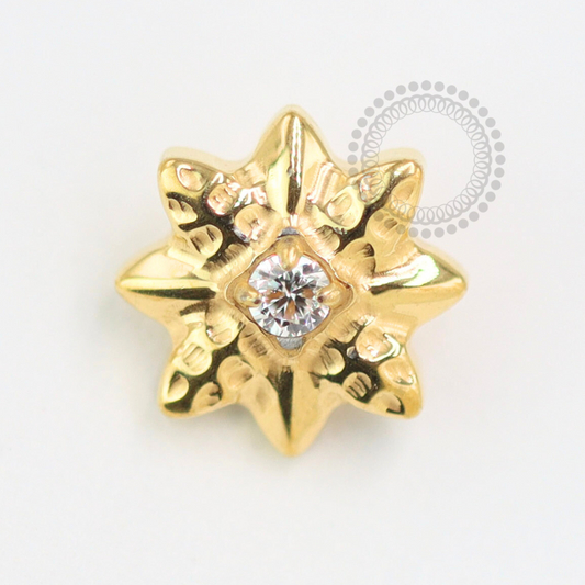 TN1482 Topo Estrela Polar Titânio PVD Gold