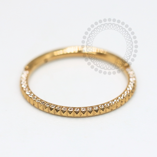 TN1184 Segmento Cravejado Inca Titânio PVD Gold