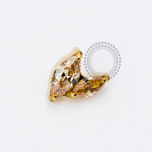TN1917 Top 2 Petals Champagne Titanium PVD Gold 
