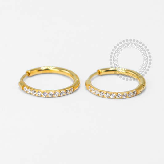 TN1615 Par de Brincos Argola Lux Titânio PVD Gold