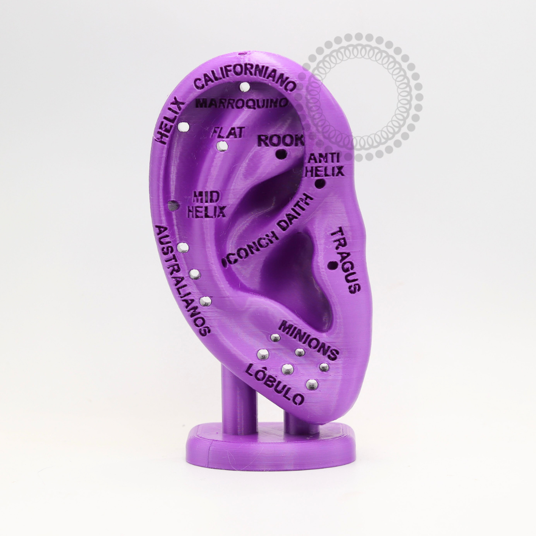 EP38 Orelha Didática 3D Em Resina