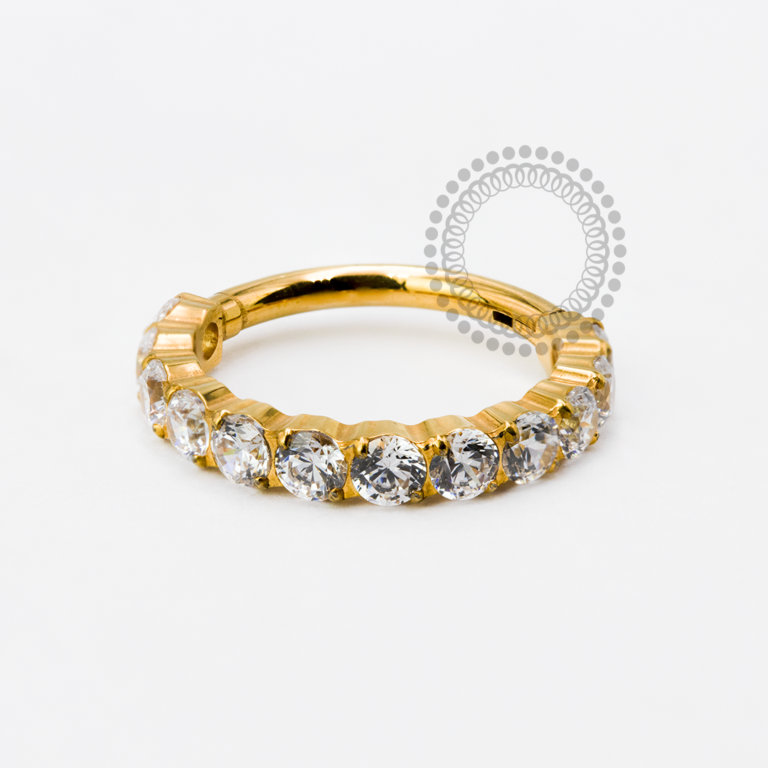TN1939 Segment Studded 12 CZ Titanium PVD Gold 