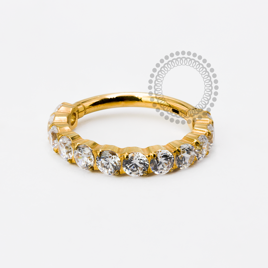TN1939 Segmento Cravejado 12 CZ Titânio PVD Gold